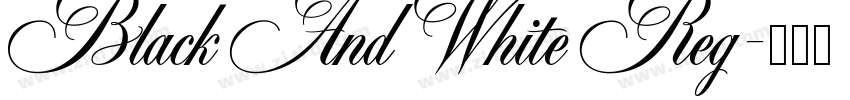 Black And White Reg字体转换